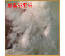 麗水市雁香絨羽絨制品店