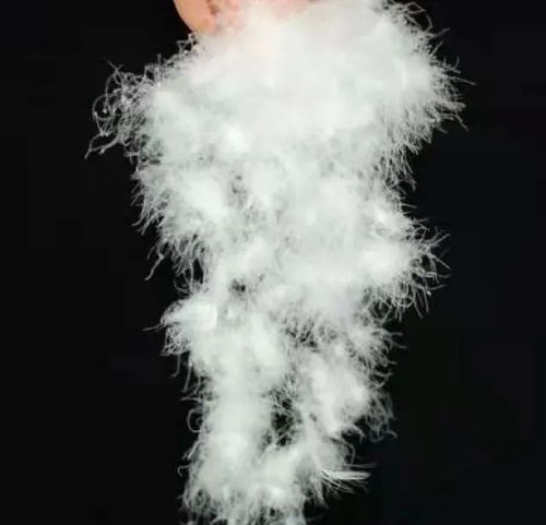 寶升家紡 年產(chǎn)20萬(wàn)件羽絨制品項(xiàng)目 助跑 預(yù)計(jì)年產(chǎn)值同比增長(zhǎng)233