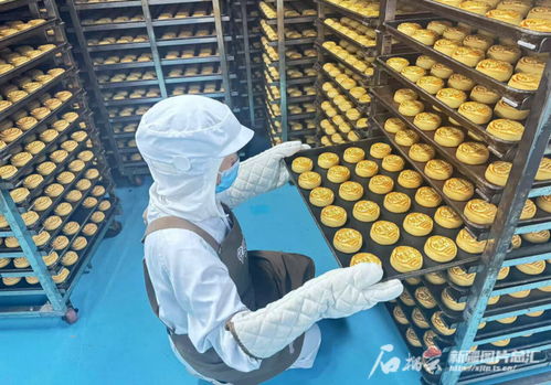 中秋佳節將至，烏魯木齊食品與羽絨制品企業雙線并進迎忙季